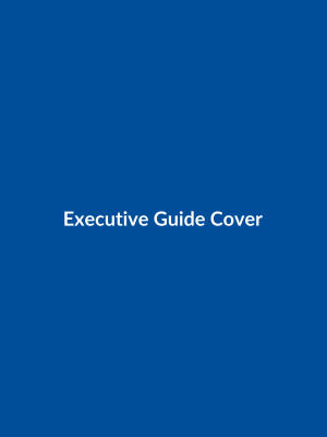 my executive guide cover
